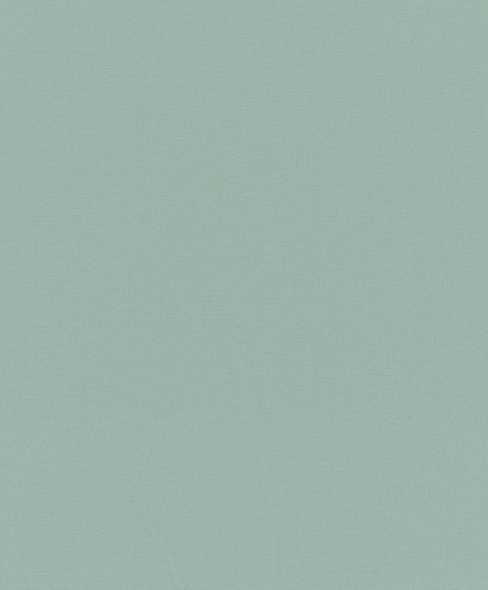 Hooked on Walls Passe Partout 2026 Colour Vibes Uni 29946 Behang