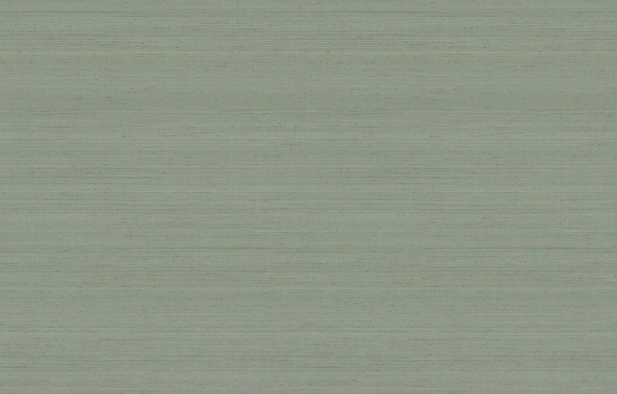 Hooked on Walls Passe Partout 2026 Colour Vibes Uni Soie Tropical 29972