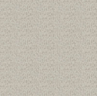 Hooked on Walls Penthouse Apollo 19932