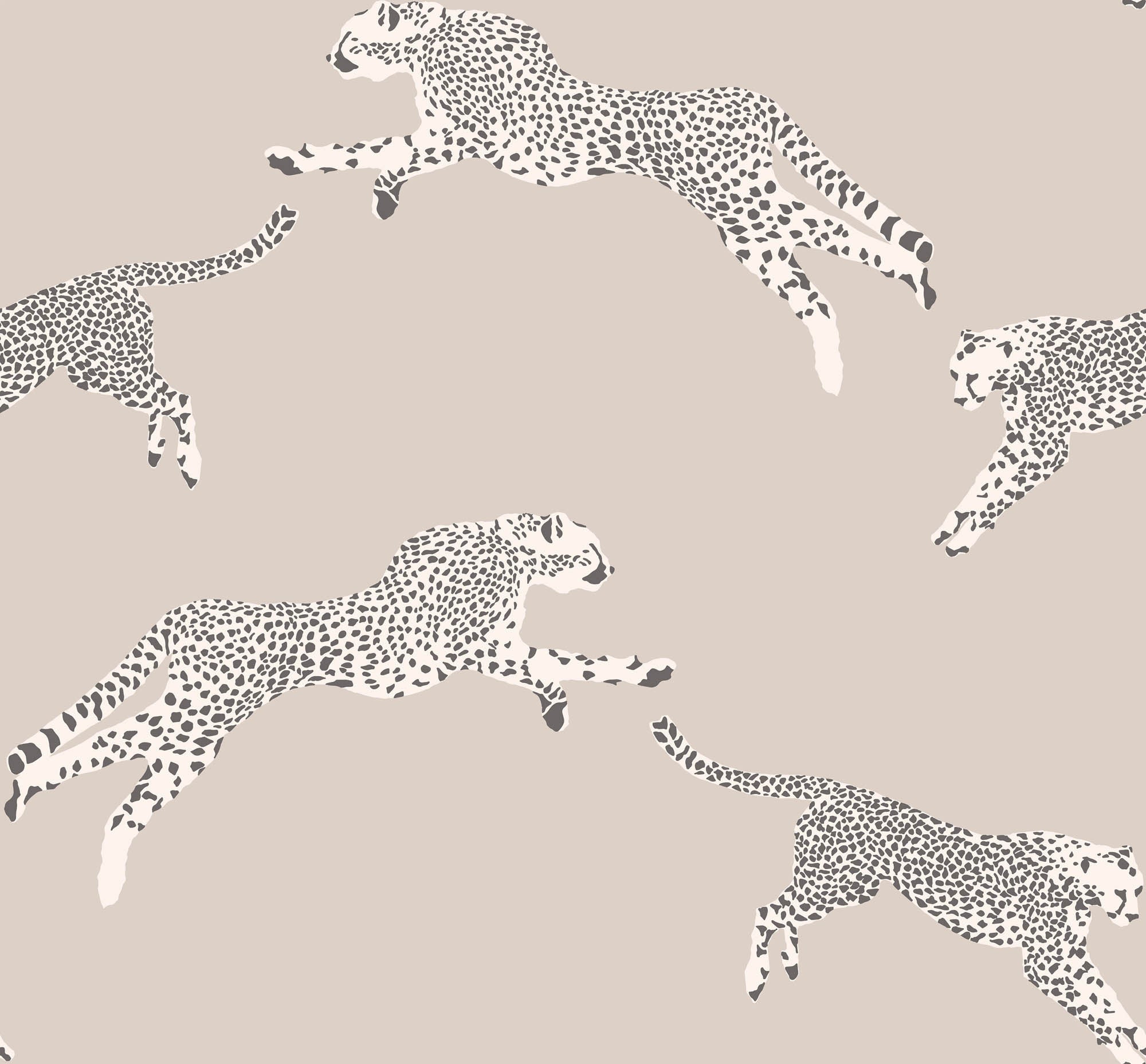 Hooked on Walls Scalamandré Leaping Cheetah JV26022 Behang