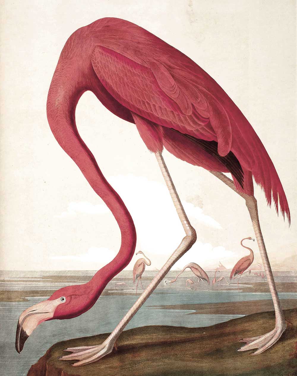 KEK Amsterdam Wallpaper Panel Flamingo PA-012 - 3 Sheets