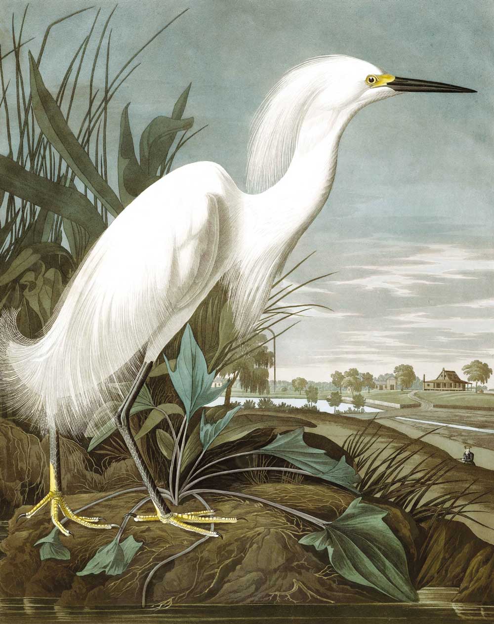 KEK Amsterdam Wallpaper Panel Snowy Heron PA-009 - 3 Sheets