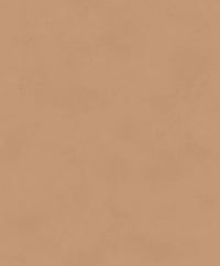 Khrôma Colorythm Color Camel BLONE1014