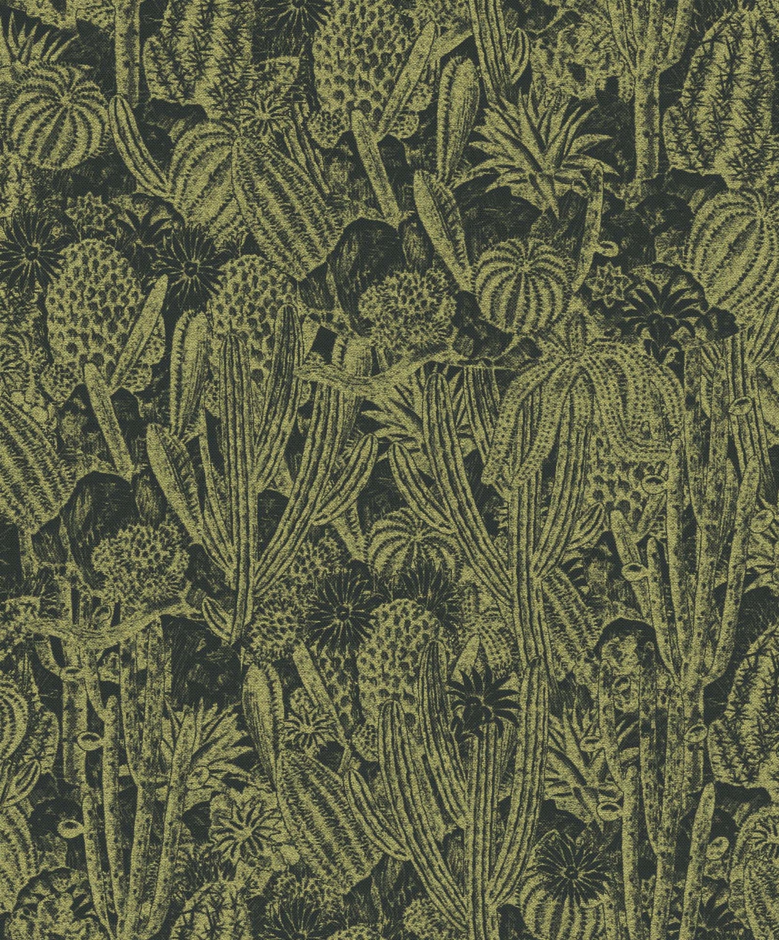 Khrôma Havana Cactus Gold HAV204 Behang