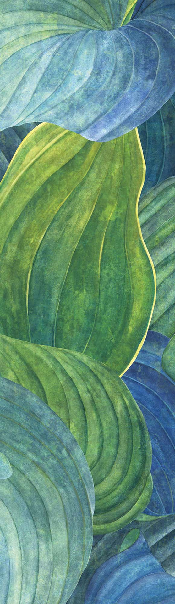 Khrôma Wall designs II Hosta Aqua DG2HOS1013 Behang