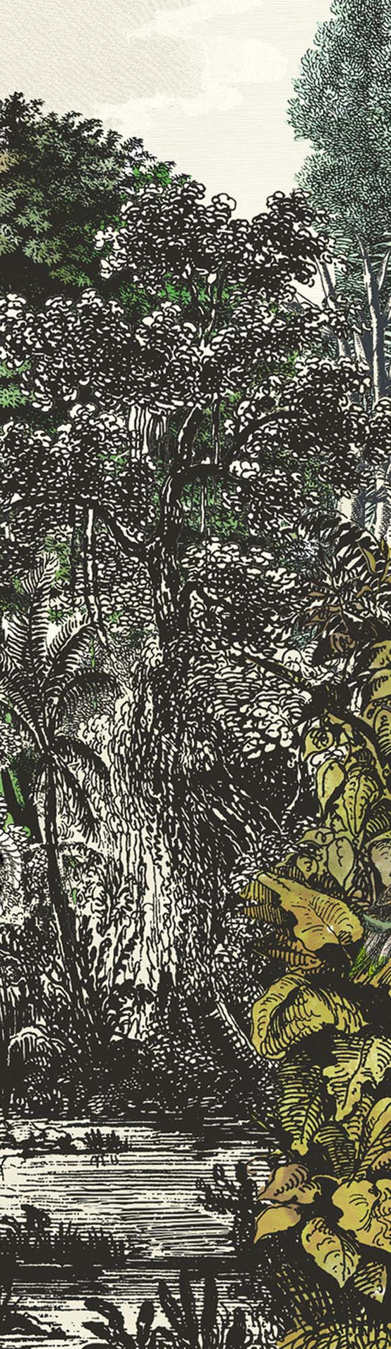 Khrôma Wall designs II Safari Pampas DG2SAF1015 Behang