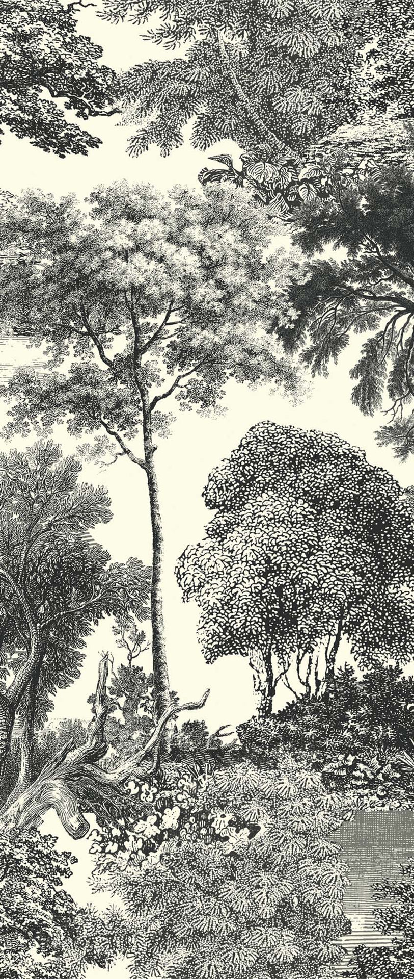 Khrôma Wall designs II Salcey Forest DG2SAL1012 Behang