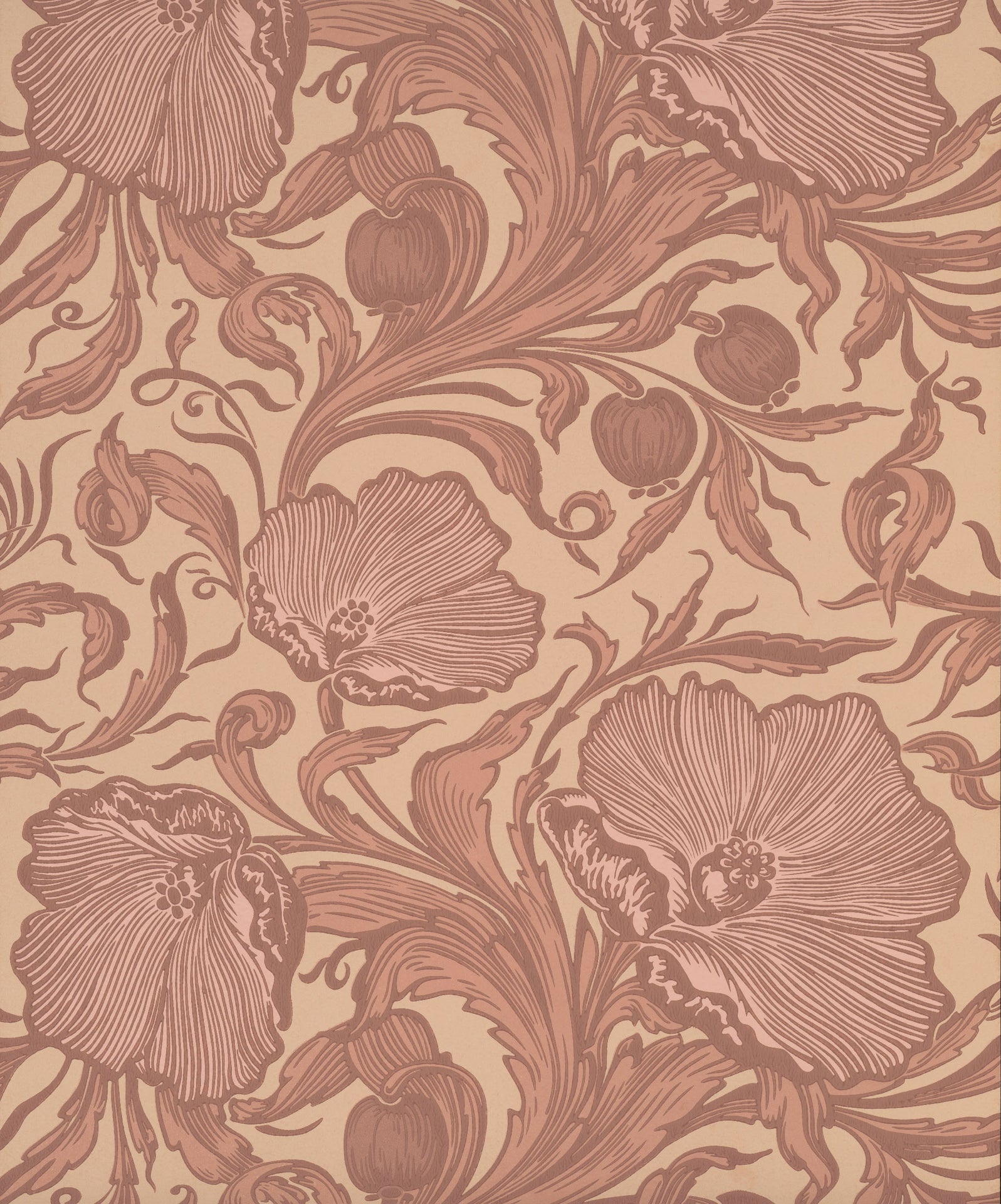 Little Green National Trust III Poppy Trail Masquerade Behang