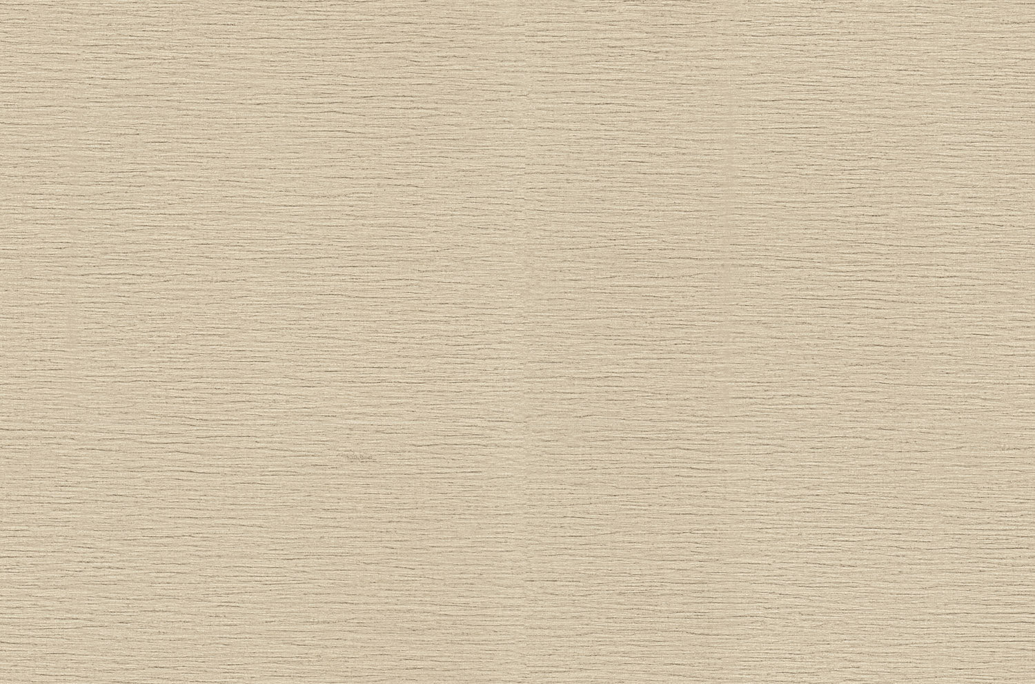 Roberto Cavalli 9 - Uni Beige - 21081