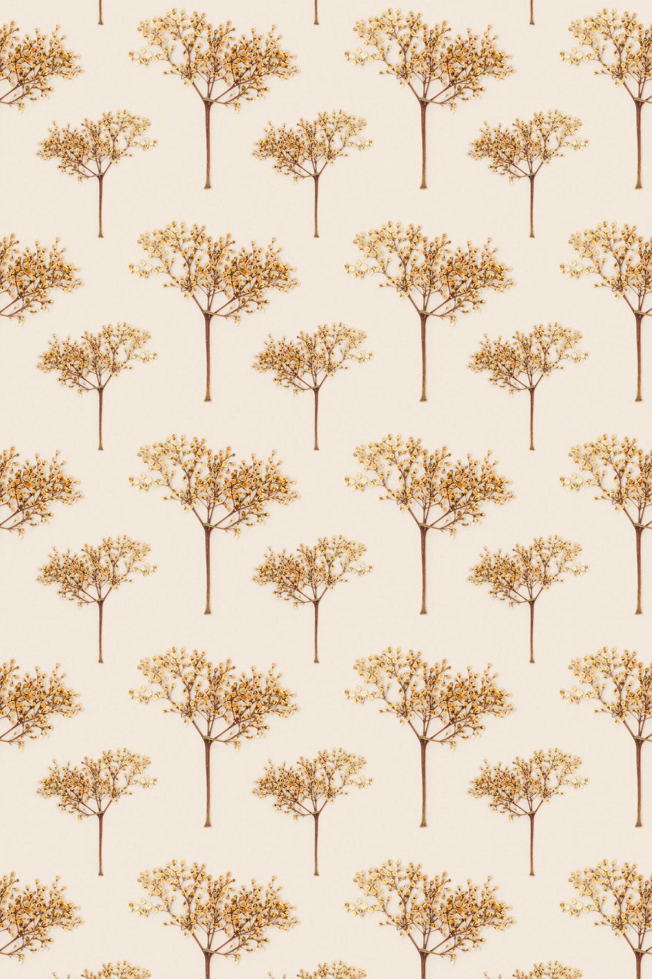 Studio Ditte Boompjes