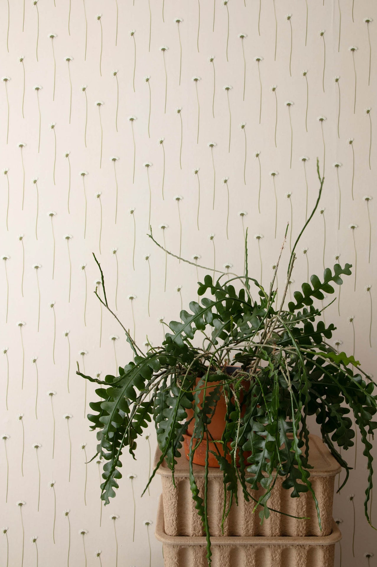 Studio Ditte Madeliefjes Behang