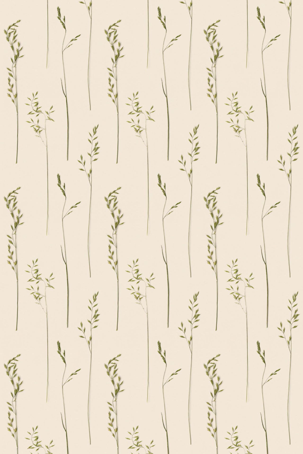 Studio Ditte Wilde Grassen Behang